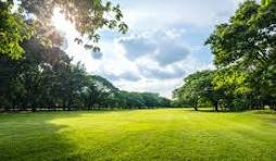 Delhi 7 Project lifestyle